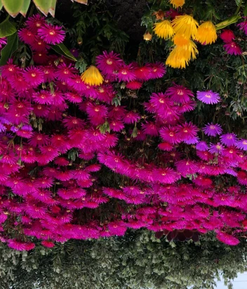 Фото проститутки ADINA