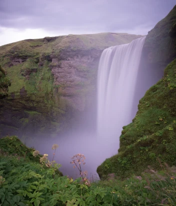 Фото проститутки ADINA